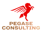 Pégase Consulting